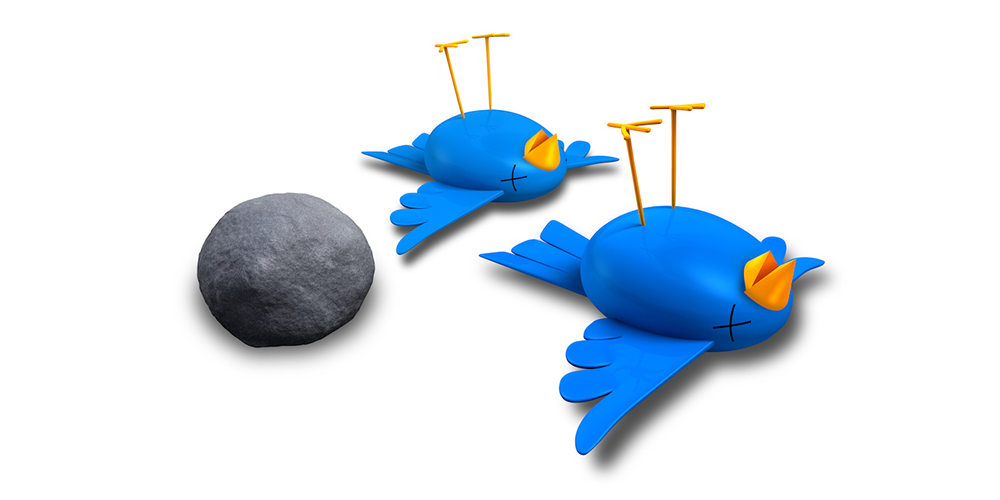 How Two Birds With One Stone Protects Your Investment Digital Dealer